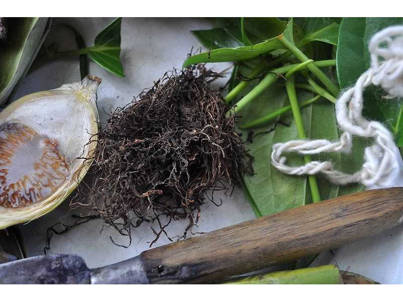 -pinang open-tobacco-knife-benang-betel leaves